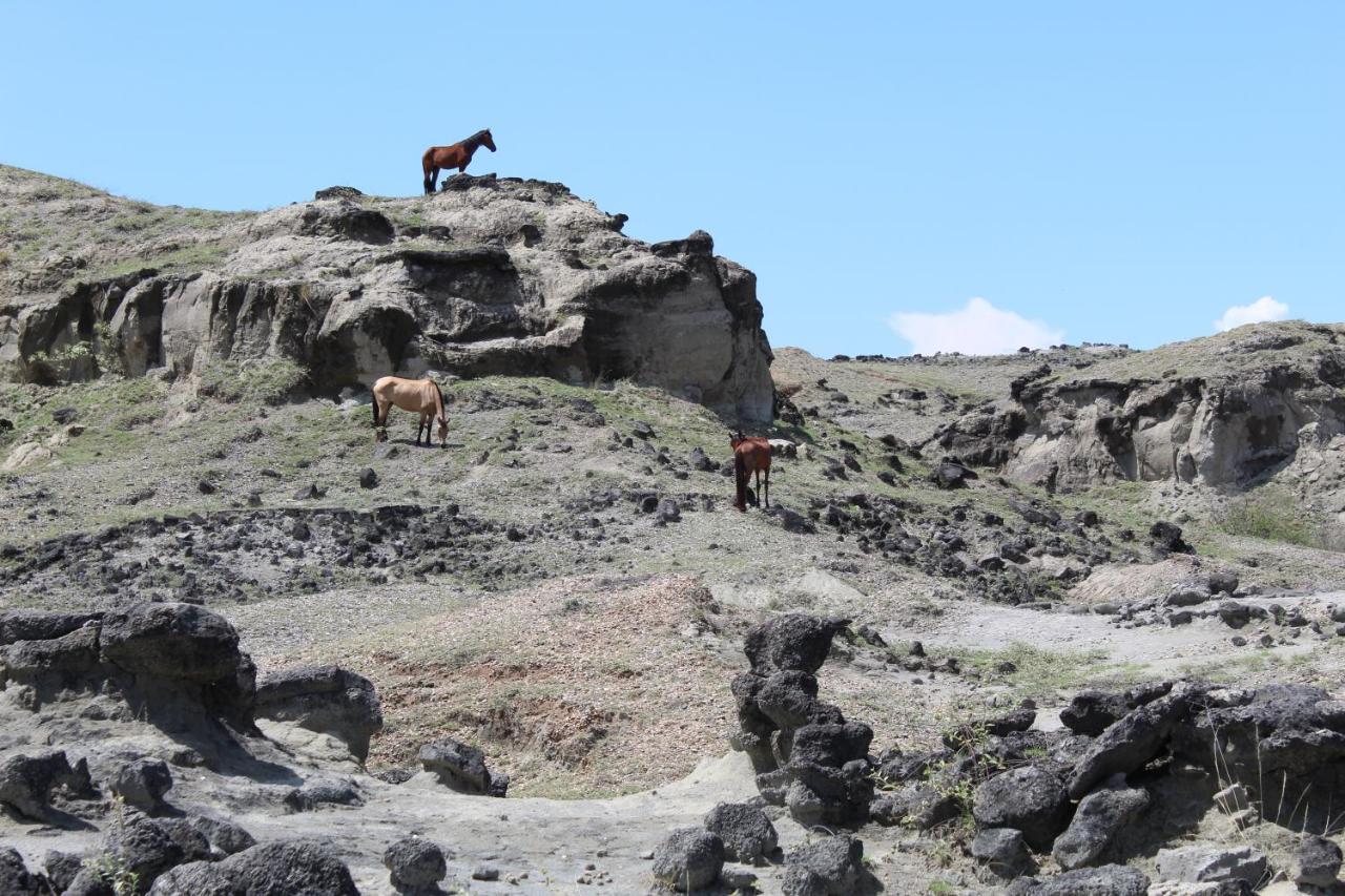 Pachingo Tatacoa Desert La Victoria  Luaran gambar