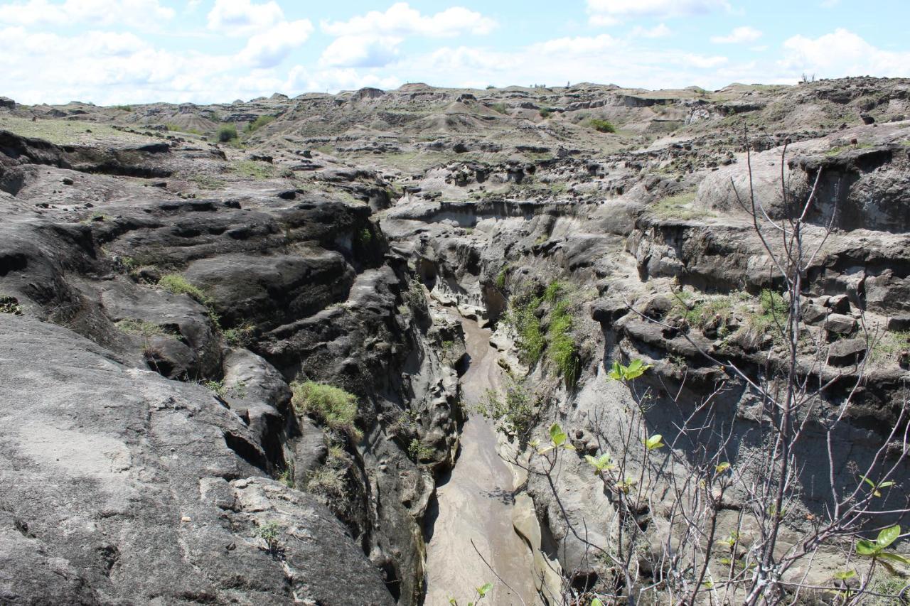 Pachingo Tatacoa Desert La Victoria  Luaran gambar