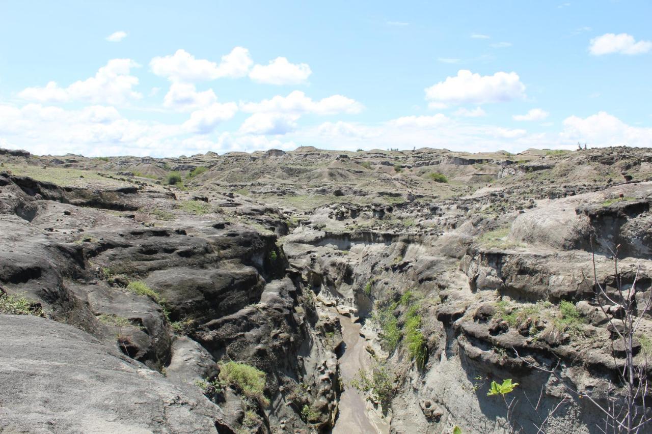 Pachingo Tatacoa Desert La Victoria  Luaran gambar